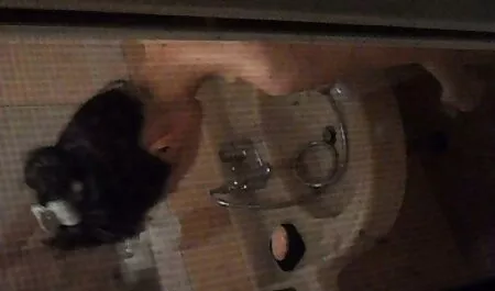 Ganar experiencia en el porno duro por el ano sexo.