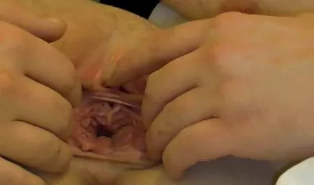 Masaje follando anal por primera vez de las manos y la boca del pene.