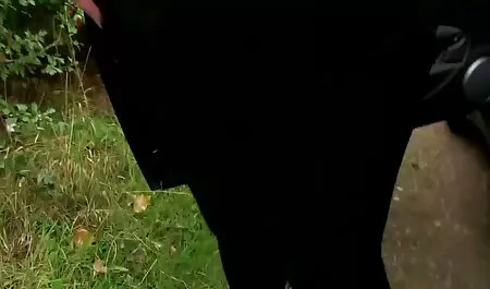 Chupando polla para culos y tetas follando una patineta.